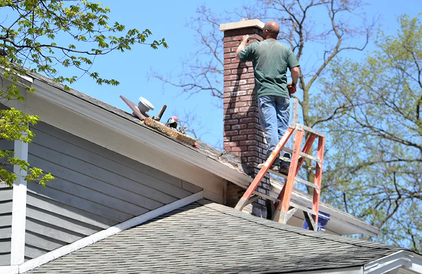 Chimney & Fireplace Inspections Services in Bailey's Crossroads, VA